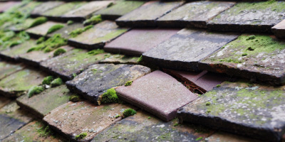 Crownfield roof repair costs